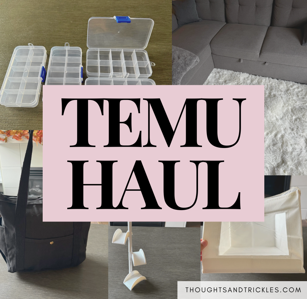 My First Temu Order!